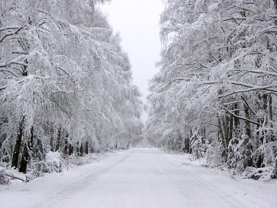 Бердовка, фотозарисовки